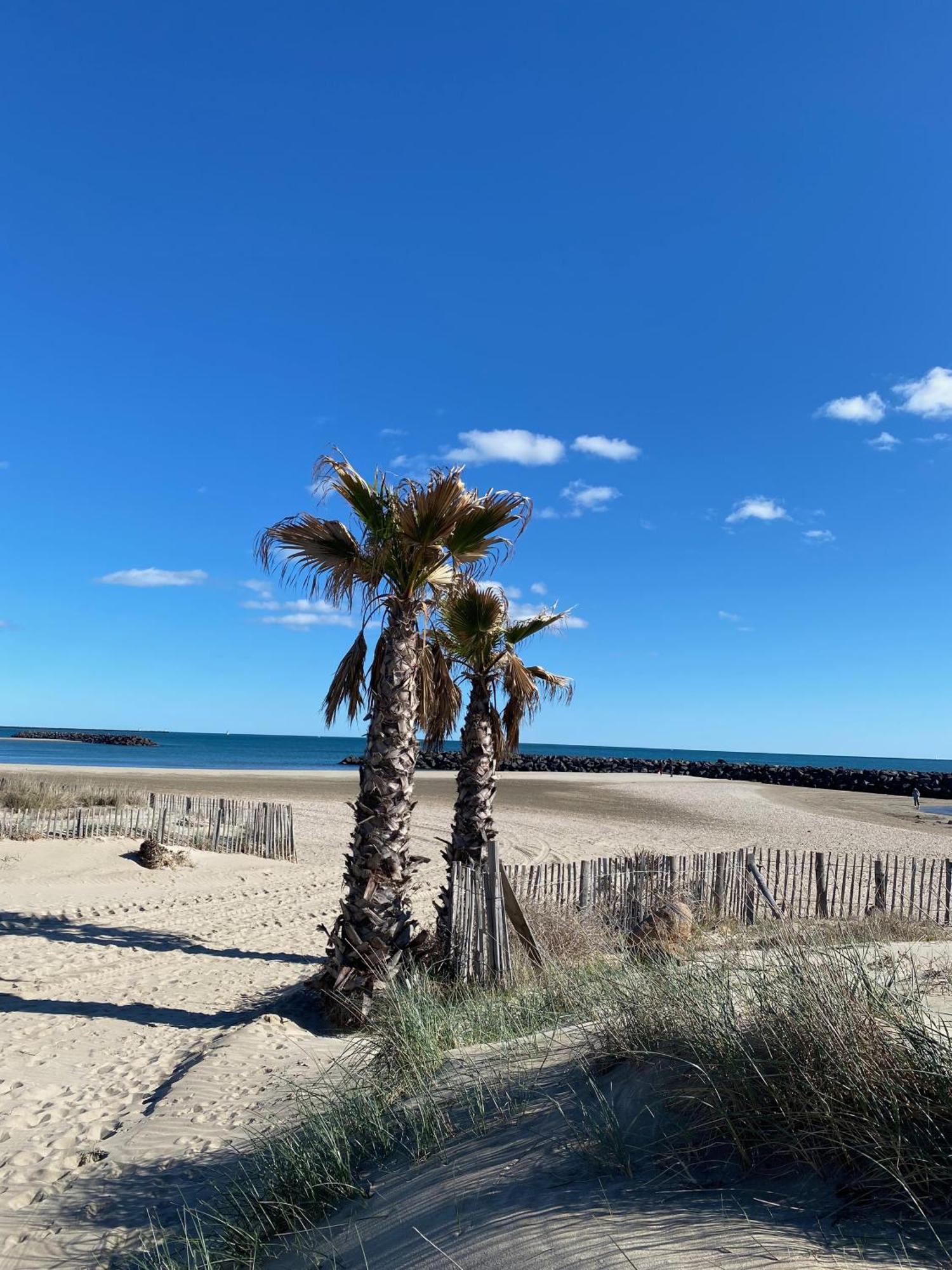 Appart - T3 - 6 Personnes – Golf Cap D’Agde Buitenkant foto